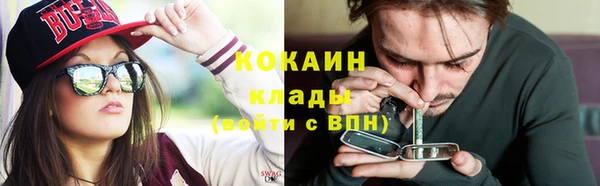 прущие грибы Белокуриха