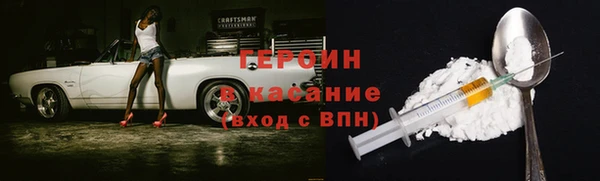 прущие грибы Белокуриха