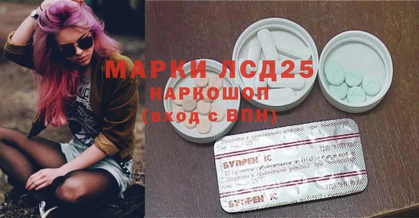 прущие грибы Белокуриха