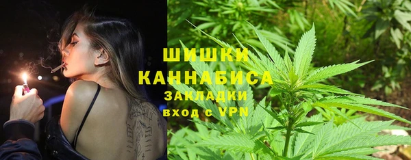 прущие грибы Белокуриха