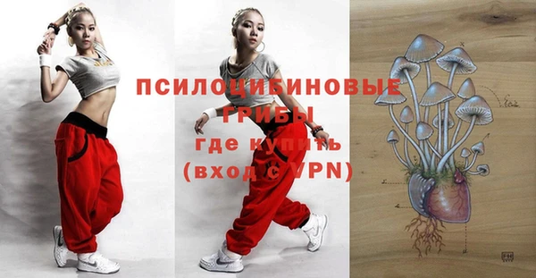 прущие грибы Белокуриха